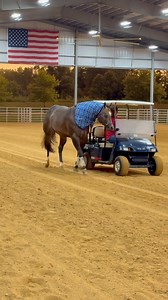 FG DAWNS LEGACY 2020 AQHA/ APHA/ IBHA/ ABRA Buckskin Stallion • 2025 IBHA World Champion Amateur 3YO & Over Stallions• 2025 IBHA World Champion Open Aged Stallions• 2023 AQHA Congress Champion 3 year old Stallion • 2023 AQHA Congress Open ReserveChampion• 2023 & 2022 AQHA & APHA Circuit Champion Stallion• 2021 BHF Champion Yearling Stallion• 2021 BHF Open Reserve Champion yearling Stallion • 2021 WCHA Breeders Championship Nonpro Stallion • 2021 WCHA Big Money Halter Futurity Reserve Champion St