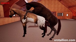 Stallion Fucks Mare In The Ass (Vr Stallion) [Cum And Piss]