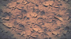 Download A brown paper texture with many leaves for free