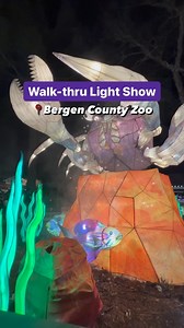 95K views · 14 reactions | Hurry and catch ‘Let It Glow’...