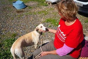 51 reactions · 24 shares | Unleash your inner animal welfare activist...