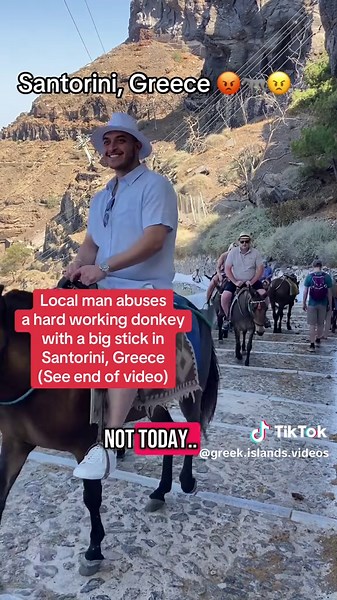 Santorini Donkey Abuse: A Hardworking Animal's Struggle