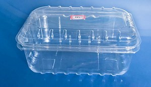 [Hot Item] Clamshells Blister Disposable Plastic Fruit Packaging Container 500 Gram for Grape