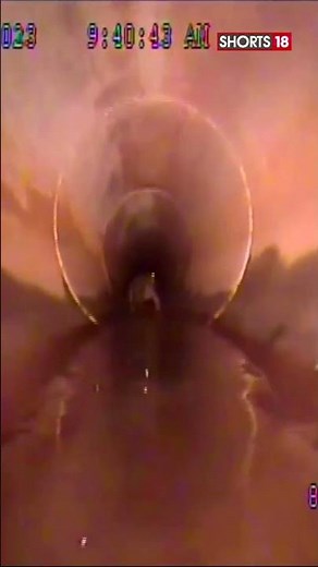 Robot Chases Alligator In Florida | English News | News18 | #shorts #viralvideo #trending