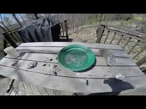 Showing Off Silver Nuggets