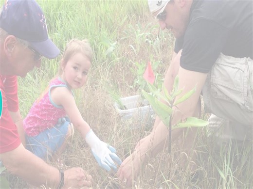 Turn your passion into action! Become a Volunteer at Wolf Lake! Join us for an open house to learn how you can make a difference at Wolf Lake State Fish Hatchery and Visitor Center. OPEN HOUSE Wednesday, April 19, 2023 5:00 PM - 7:00 PM Find out more information about volunteering and the Friends of Wolf Lake here: https://www.friendsofwolflake.org/ #Volunteer #MichiganDNR #friendsofwolflake | Wolf Lake State Fish Hatchery and Visitor Center