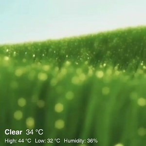 Today Doha weather.. | MyDoha MyCity | Facebook