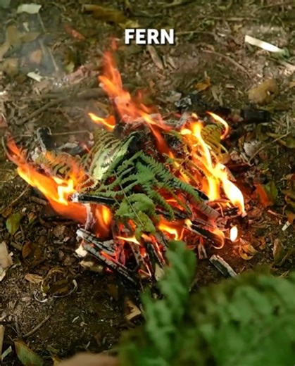 16K views · 16 reactions | We made a short survival guide handbook for you! | 5-Minute Crafts Teens | Facebook