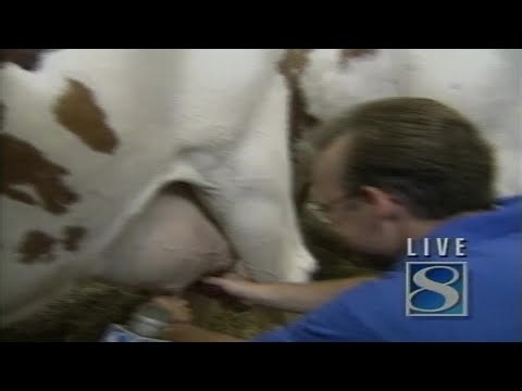 Iowa State Fair Archives: Dana Cardin learns to milk cow