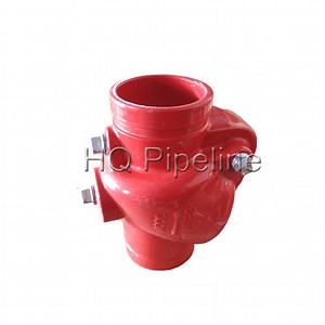 [Hot Item] UL/FM Ductile Iron Grooved Check Valve for Fire Fighting