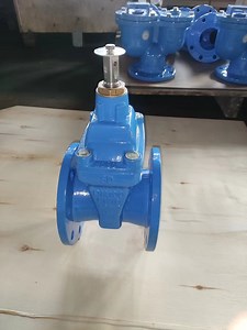 [Hot Item] Double Flange Gate Valve DN50-DN300 Pn16