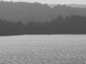 Jonathan Roy on Reels