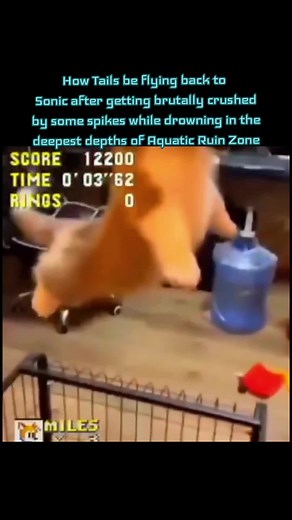 Tails Flying Back After Spikes & Drowning - Sonic Meme
