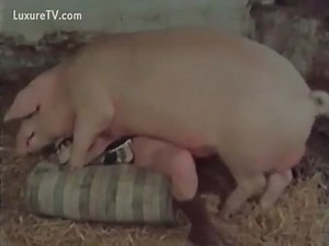 Horny farm wife and animal