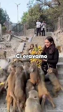 Ha rubato il nome del mio bambino. Ho rubato l'eredità del suo bambino.