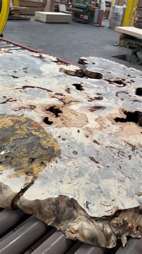 Buckeye Burl is truly a unique wood species. It’s hard to find sometimes because a lot of it grows underground. Each piece is one-of-a-kind, with its own unique colors, patterns, and burl. These trees thrive in the foothills of the Central Valley, at elevations between 1,200 and 4,000 feet. We’re lucky to be so close and able to source and salvage it locally. Check out our current inventory of Buckeye Burl by clicking the link in our bio! | GL Veneer, Inc.