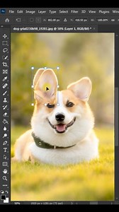 Clone source #new #photoshop #adobephoto #photoaction #design #photoediting #skphotos #tricks | Sk Photos