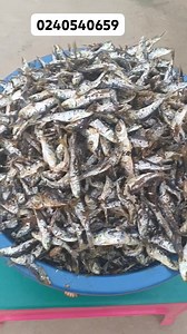 24K views · 368 reactions | Freshly fried herrings. Kenkey or hot banku will do 藍藍藍. Call now  #fish | Deborah Amornorkie Sebbie | Facebook