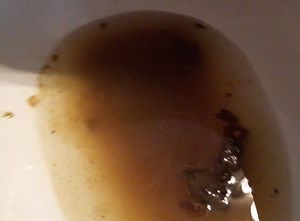 Farts After Messy Shit