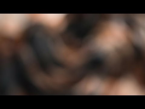 4K Micro Bikini Try -On Haul Transparent |Transparent Lingerie & See-through style #5