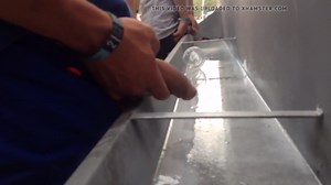 long heavy uncut cock pissing in public at trough urinal