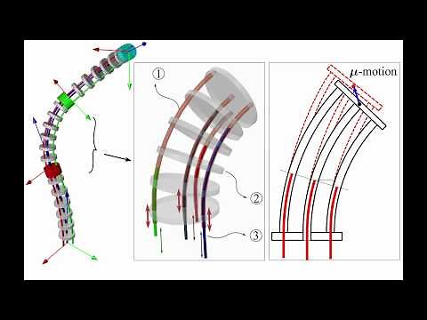 Continuum Robots with Equilibrium Modulation - Simplified Kinematics