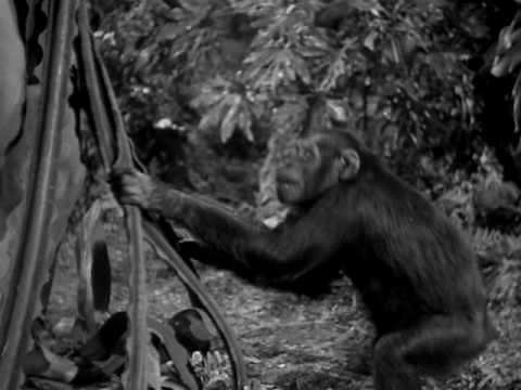 TARZAN YELL - Johnny Weissmuller at RKO Studios