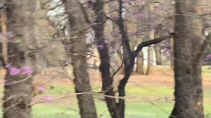 1.7K views · 85 reactions | So Marla will tell you that I have more girl friends than guy friends. So here you go! HAHA #okwx #Oklahoma 4.5.23 | Mike Morgan | Facebook