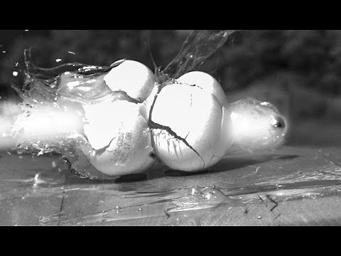 Best Slow Motion Video Compilation