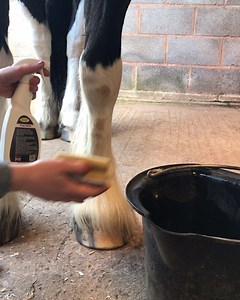 168K views · 317 reactions | INSTANT STAIN REMOVAL ✨ Simply: damp stain with sponge, spray Polar White, massage in with sponge and rinse for total whiteness! Smartgrooming.co.uk | Smart Grooming | Facebook