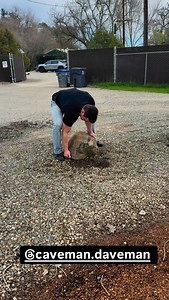 Mark Bell on Reels | Facebook