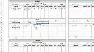 Simple Workout, Cardio & Nutrition Tracker | Google Sheets Template - Etsy Canada