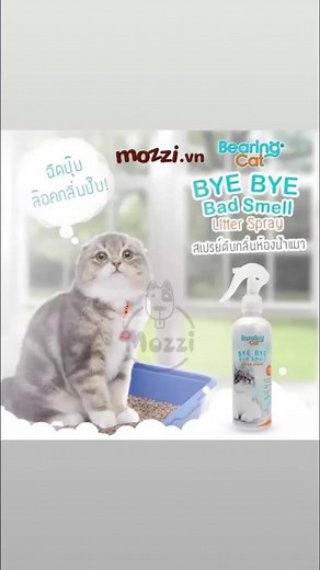 VIÊN KHỬ MÙI- KHỬ KHUẨN CÁT CATURE🔥 ✅Đánh bay mùi ngay khi cho trực tiếp vào cát. ✅Lưu hương lâu trong không khí. ✅Hấp thụ lên đến 99.9% vi khuẩn ✅Cách dùng cực đơn giản: Bỏ 3-5 viên vào cát vệ sinh của mèo, mùi hôi lập tức biến mất, nhường chỗ cho hương thơm dịu nhẹ ✅3 mùi hương: Hương cỏ, hương hoa & hương biển Lọ khoảng 200 viên, mỗi lần chỉ cần dùng 3-5 viên 👉 Link chi tiết sản phẩm: https://mozzi.vn/search?type=product&q=khử mùi cát 🌸🌸🌸 🏡Store 1: 544 Lê Hồng Phong, P10, Q10 🏡Store 2: