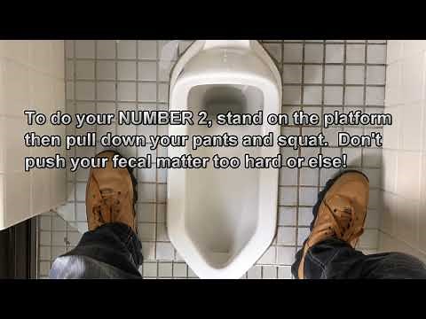 Mastering Traditional Japanese Toilets: A Squat Guide! #japanmcdonalds #japanesetoilets #culture