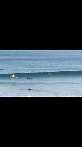 2.7K views · 71 reactions | Surfcoast Surf Report on Reels | Facebook