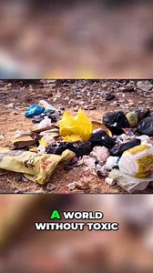 Ending Plastic Pollution - A Sustainable Future on Earth