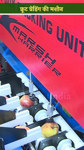 इस मशीन से Automatic होता है Fruits Grading और फलों को मिलती है अच्छी कीमत! #KisanOfIndia #GradingMachine #FruitsGrading #FruitsProcessing #Agriculture #Farming #FruitsFarming #Hightech | Kisan Of India