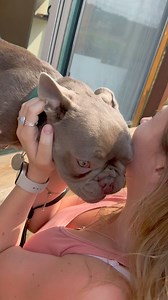 Montana Grizzly Encounter on Reels