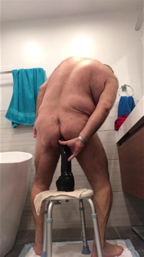 Phillybearpig and 2 toys