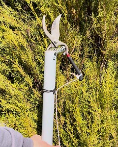 19K views · 18 reactions | Create Your Own Tree Pruning Tool ✂️ | Pixel Heroes | Facebook