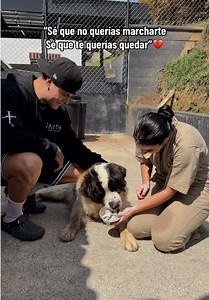 Amar También es Dejar Ir: Reflexión Profunda