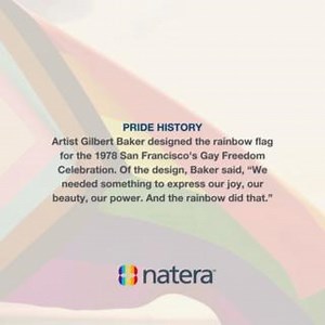 1.3K views · 4 comments | PRIDE HISTORY ️‍ The first gay pride...