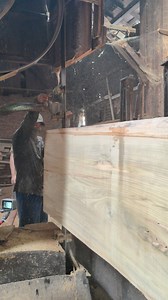 valuable monster teak log | Sawmill & Woodworking