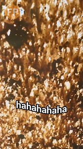 I've never been happier!!! #fridayparts #dozer #heavyequipment #buldozer #miningequipment #heavyequipmentlife #mininglife #miningengineering #dozeroperator #komatsu #constructionequipment #heavyequipmentworld #heavymachinery #loader #earthmovers #constructionmachinery #roadconstruction #excavator #caterpillar #digger #earthmoving | FridayParts