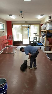 Rose Marie working hard today❤️🐶🐾💕 #onlinedogtraining #pottytraining #doglover #sweet #obediencegraduation #puppylove #dogtraining101 #puppy #heelingonleash #obedience #onlineclasses #lakecumberlandk9 #dogtraining #obedience101 #housebreaking #onlinedogtrainingclasses | Lake Cumberland K-9 Training Center, LLC