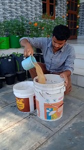 7.3K views · 439 reactions | PART 2 : Give this natural homemade fertilizer like this to boost flowering and vegetables . . . . #homemade #fertilizerforplants #organicgardening #musturdcakefertilizer #trendingreels #trending #reelitfeelit #reelkarofeelkaro #viralreels #gardening [Organic fertilizer, mustard cake fertilizer, natural, organic, trending, viral, gardening,plants] | Him Gardener | Facebook