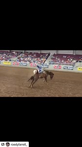 Roedy Farrel took the win in the Levelland bareback riding with this 86.5 point ride on 403 Tango! Full results - https://prorodeo.com/result/2024/abc-pro-rodeo/14337 | Beutler & Son Rodeo Co.