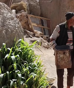 18K views · 574 reactions | Love Story in a Cave Old Lovers Living in a Cave Like 2000 Years Ago | Family Vlog | Facebook