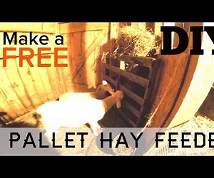 Free Pallet Goat or Sheep Feeder