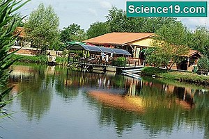 Hogyan működik a hűtőtorony? 💫 Tudományos És Népszerű Multimédiás Portál. 2025